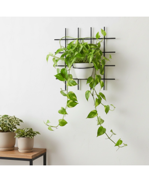 Kwietnik Wiszący Metalowy...