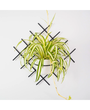 Kwietnik Wiszący Metalowy ARTIDO Pilo Verdi (Duża Doniczka)