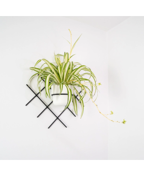 Kwietnik Wiszący Metalowy ARTIDO Omnis Cratis (1 Doniczka)